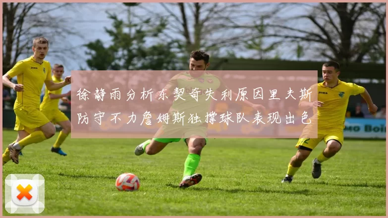 徐静雨分析东契奇失利原因里夫斯防守不力詹姆斯独撑球队表现出色