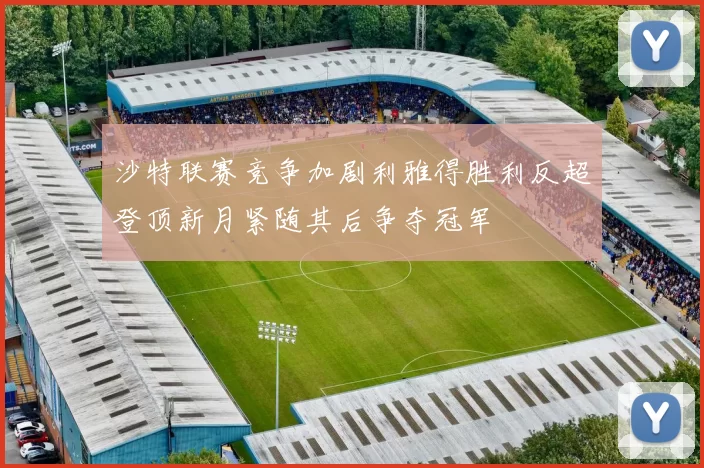 沙特联赛竞争加剧利雅得胜利反超登顶新月紧随其后争夺冠军
